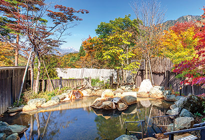 匠の宿 深山桜庵