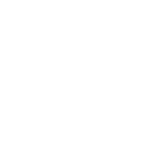 POINT 03