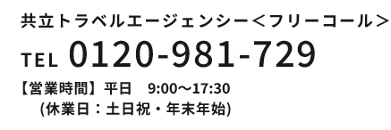 共立リゾート予約センター：0120-981-729