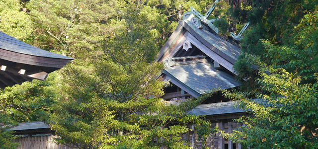 位奈西波岐(いなせはぎ)神社