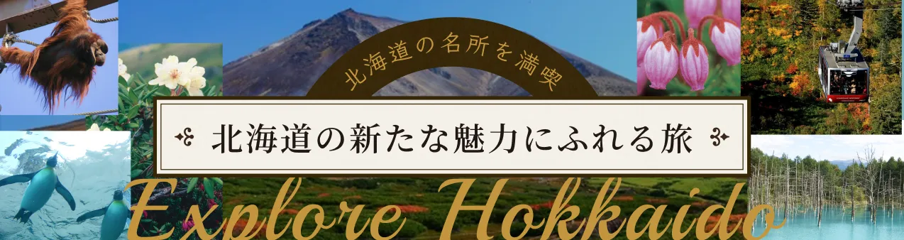北海道の名所を満喫 北海道の新たな魅力にふれる旅