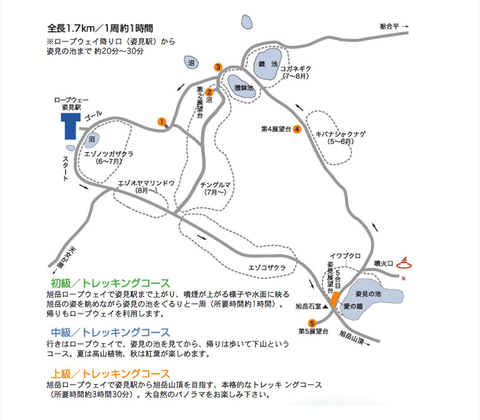 コース詳細