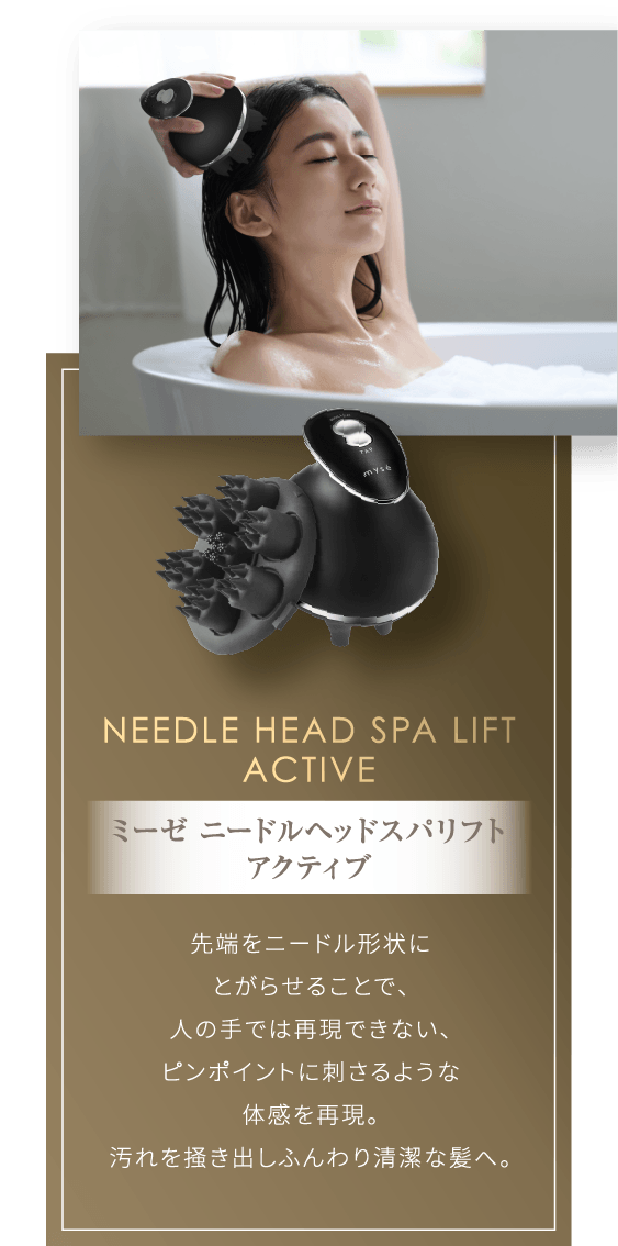 NEEDLE HEAD SPA LIFT ACTIVE ミーゼ ニードルヘッドスパリフト アクティブ