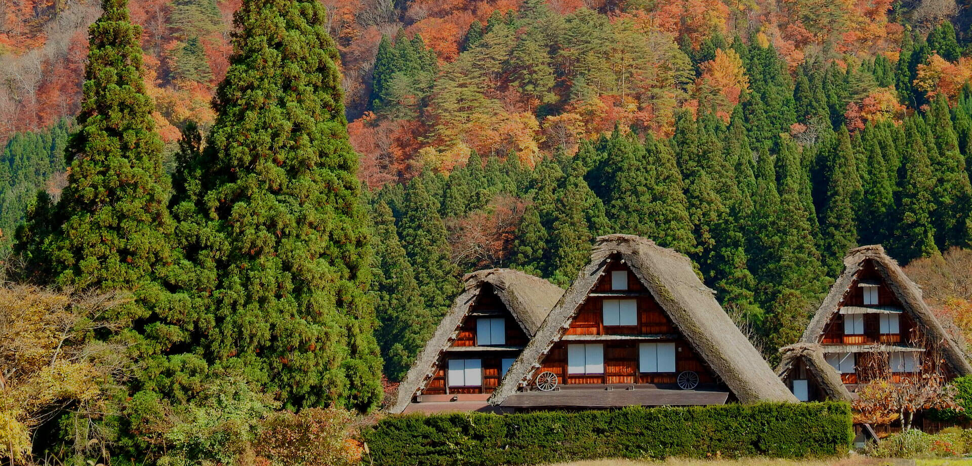 画像：白川風景