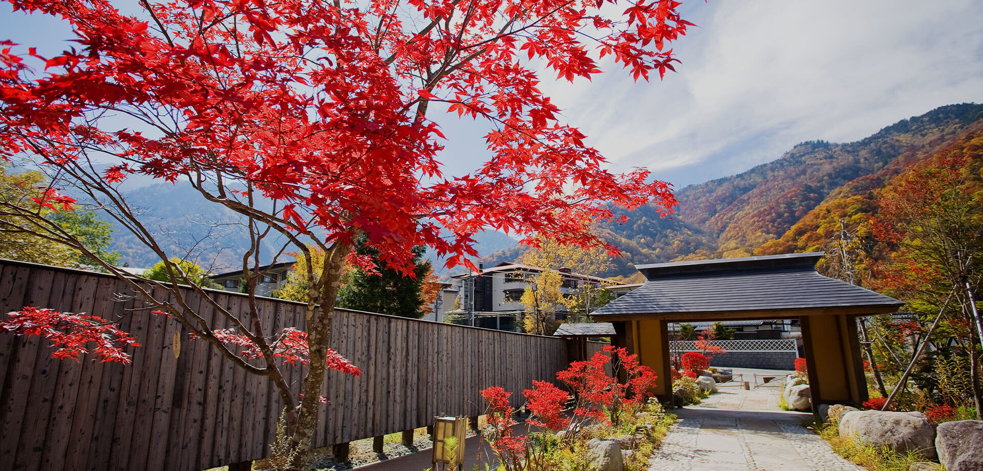 画像：白川風景