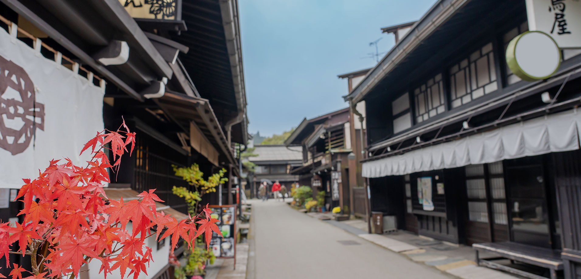 画像：白川風景