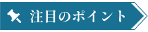 注目のポイント