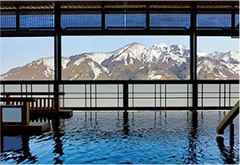 新潟 / 越後湯沢 湯けむりの宿 雪の花